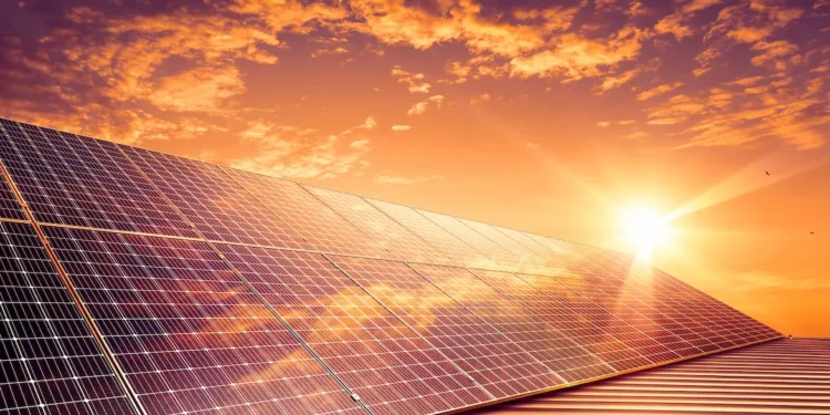 Solar panels at sunset